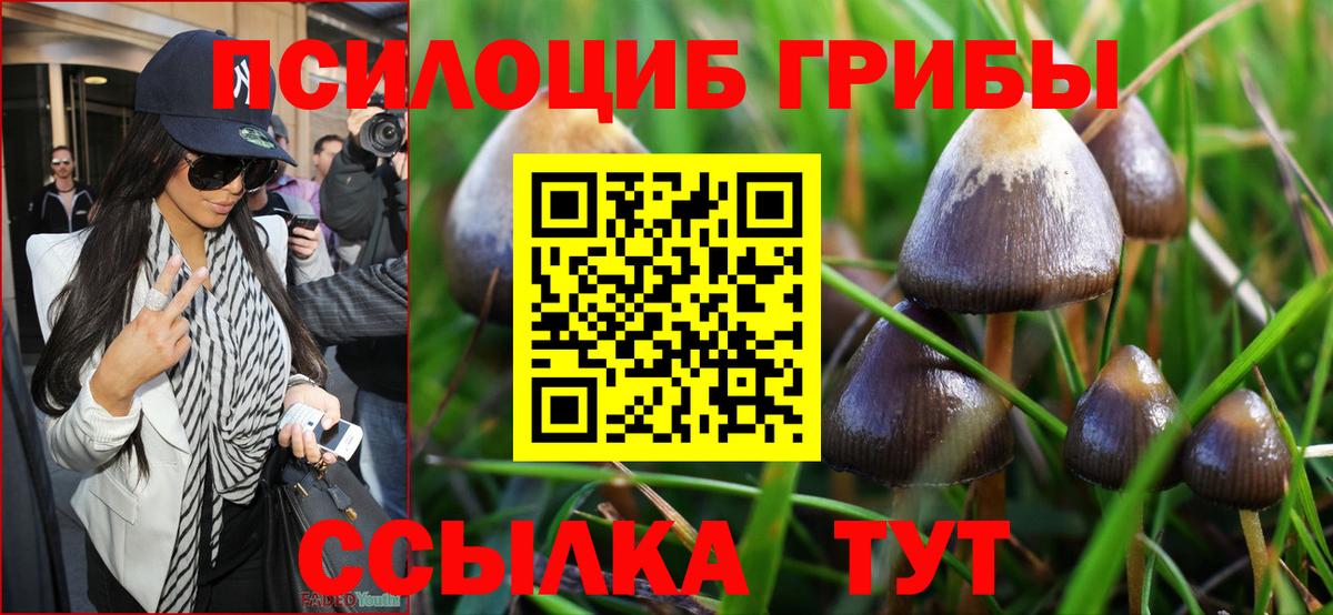 наркошоп  Псилоцибиновые грибы мицелий  Псилоцибиновые грибы прущие грибы  Вход с VPN  Домодедово 